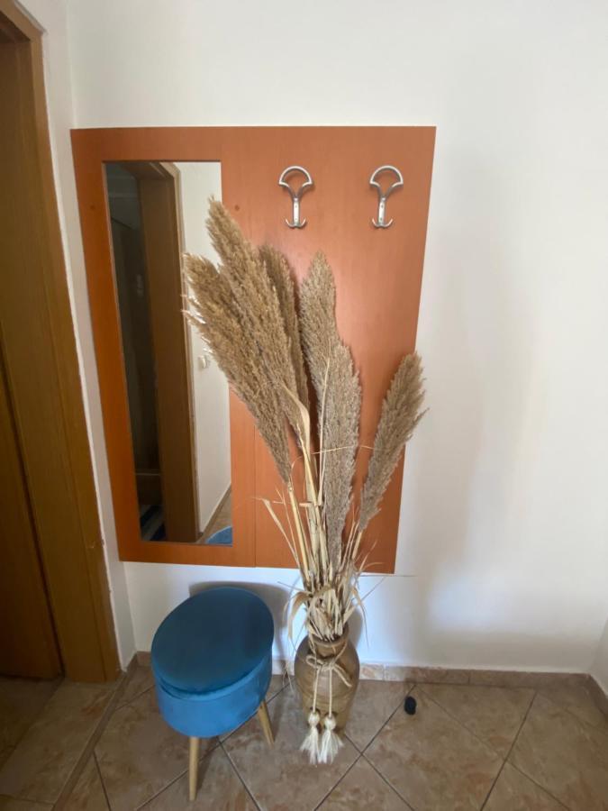 Miomir Perazic Apartments Petrovac 외부 사진