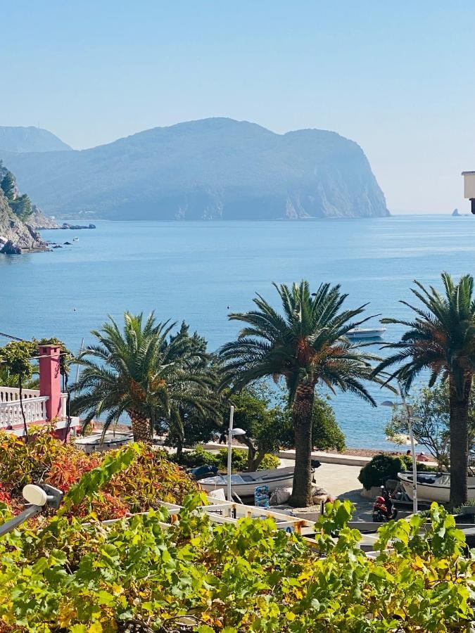 Miomir Perazic Apartments Petrovac 외부 사진